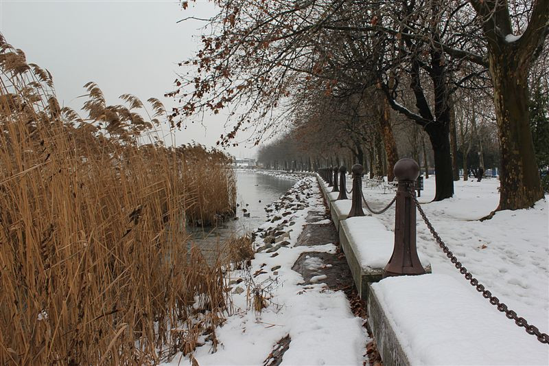 Balatonfüred tél 2013 január 071