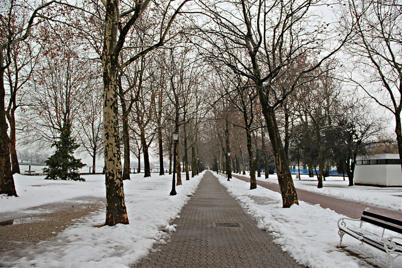 Balatonfüred tél 2013 január 091