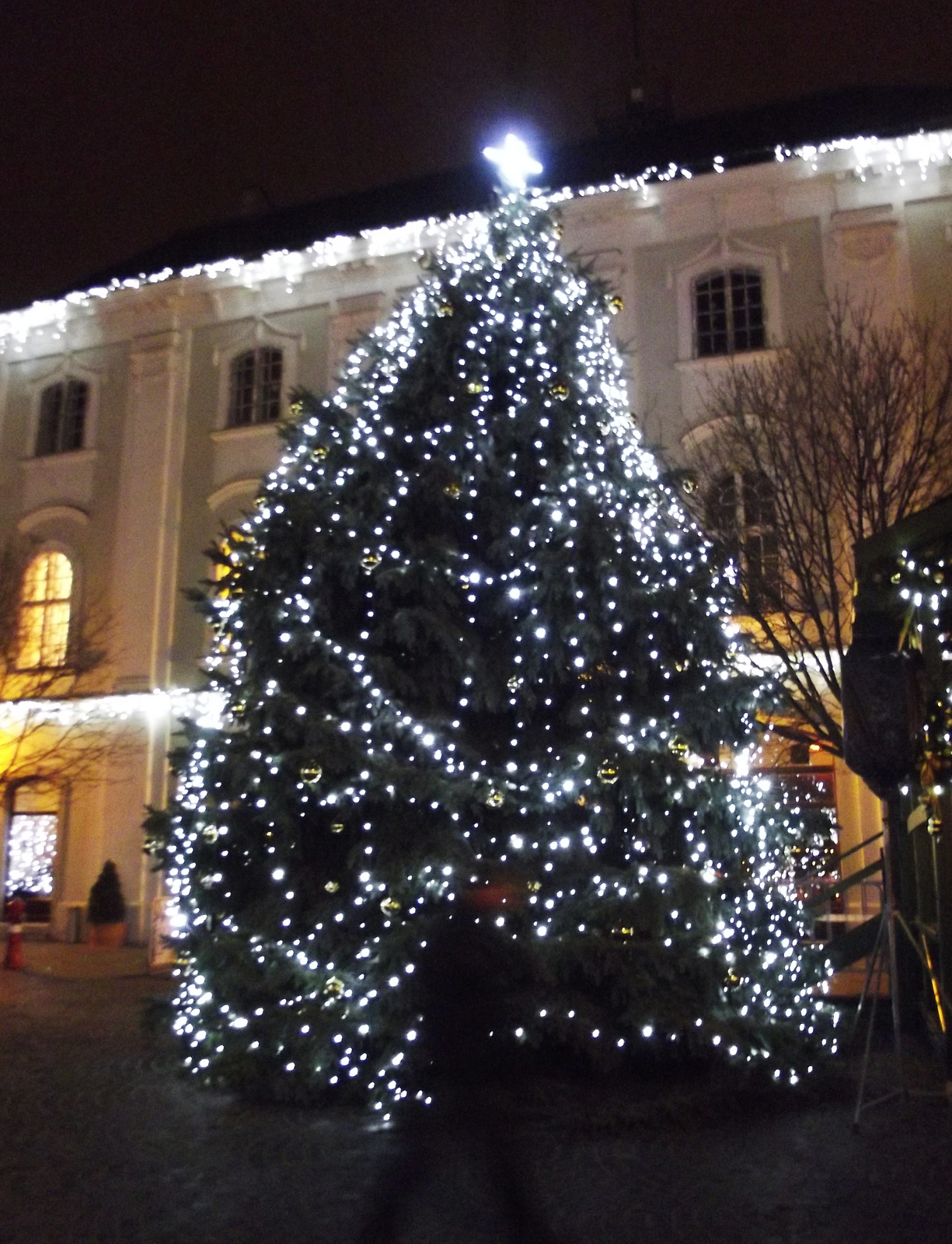 Advent 2013. - Székesfehérvár 1.