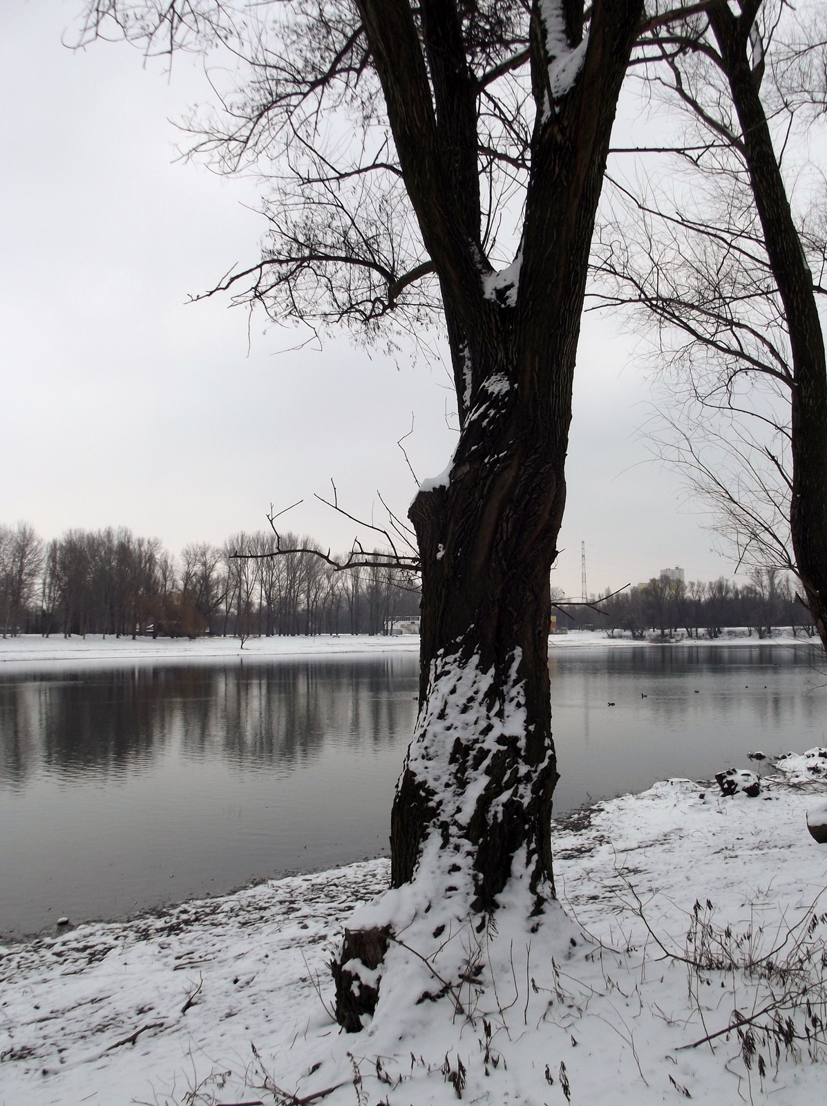 Tél a Duna parton