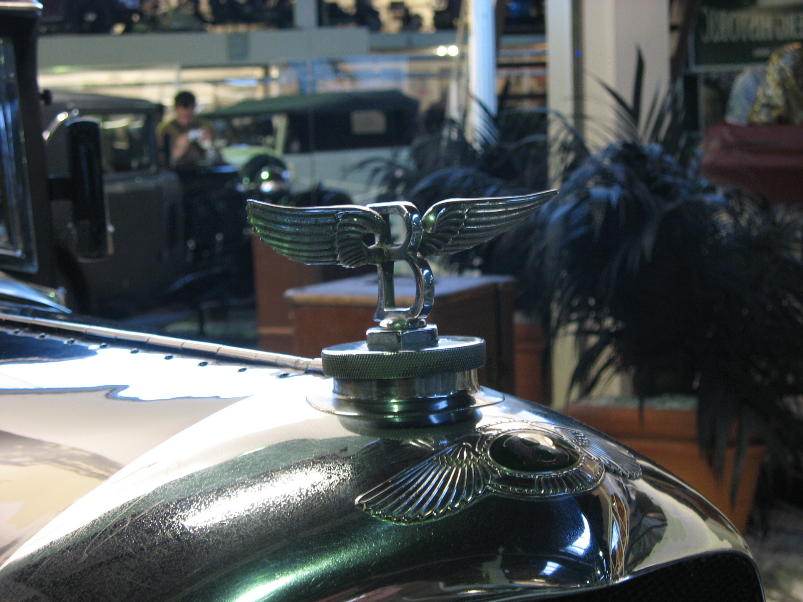Bentley szárnyak
