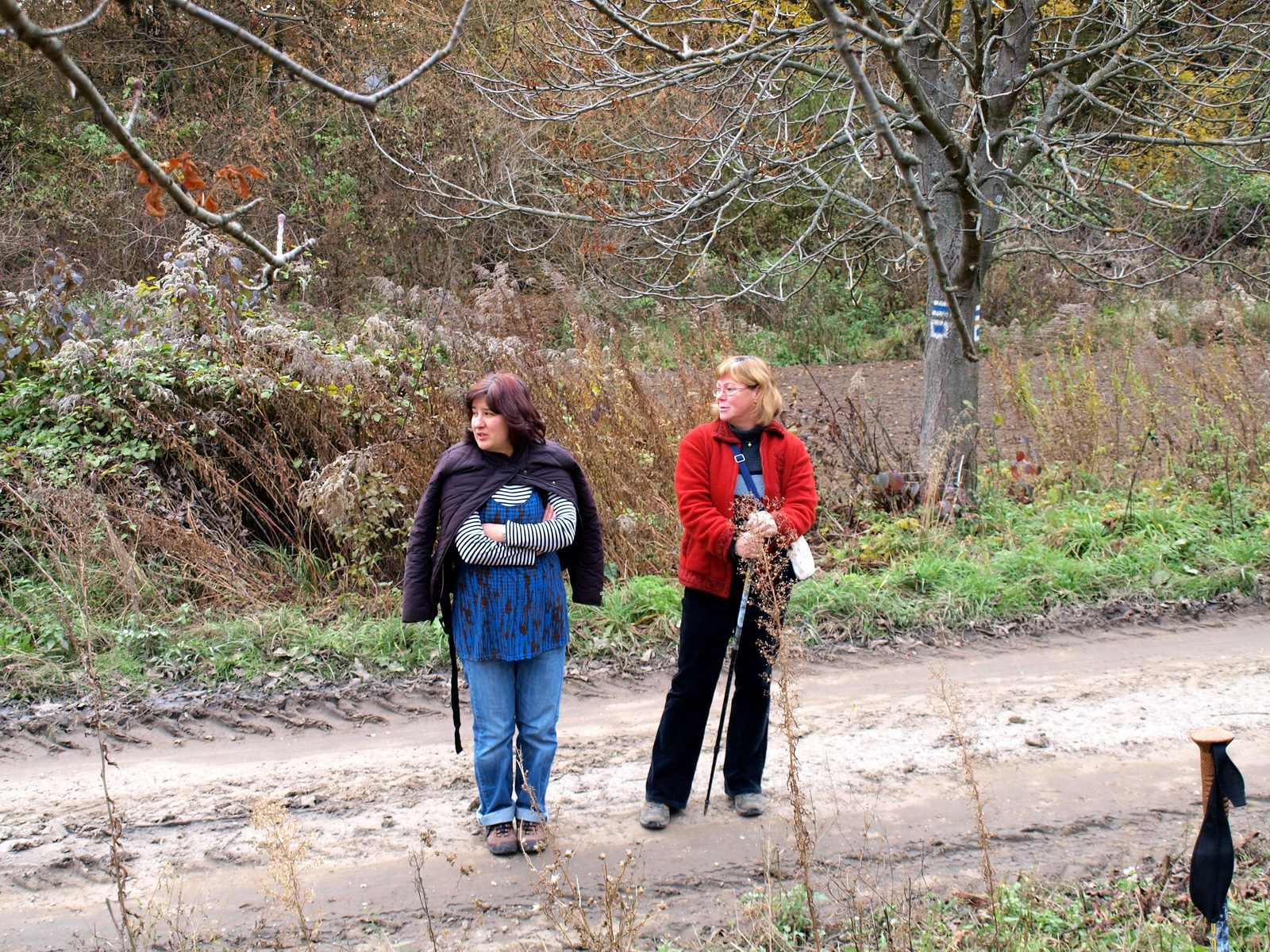 Koldusszállás (5)