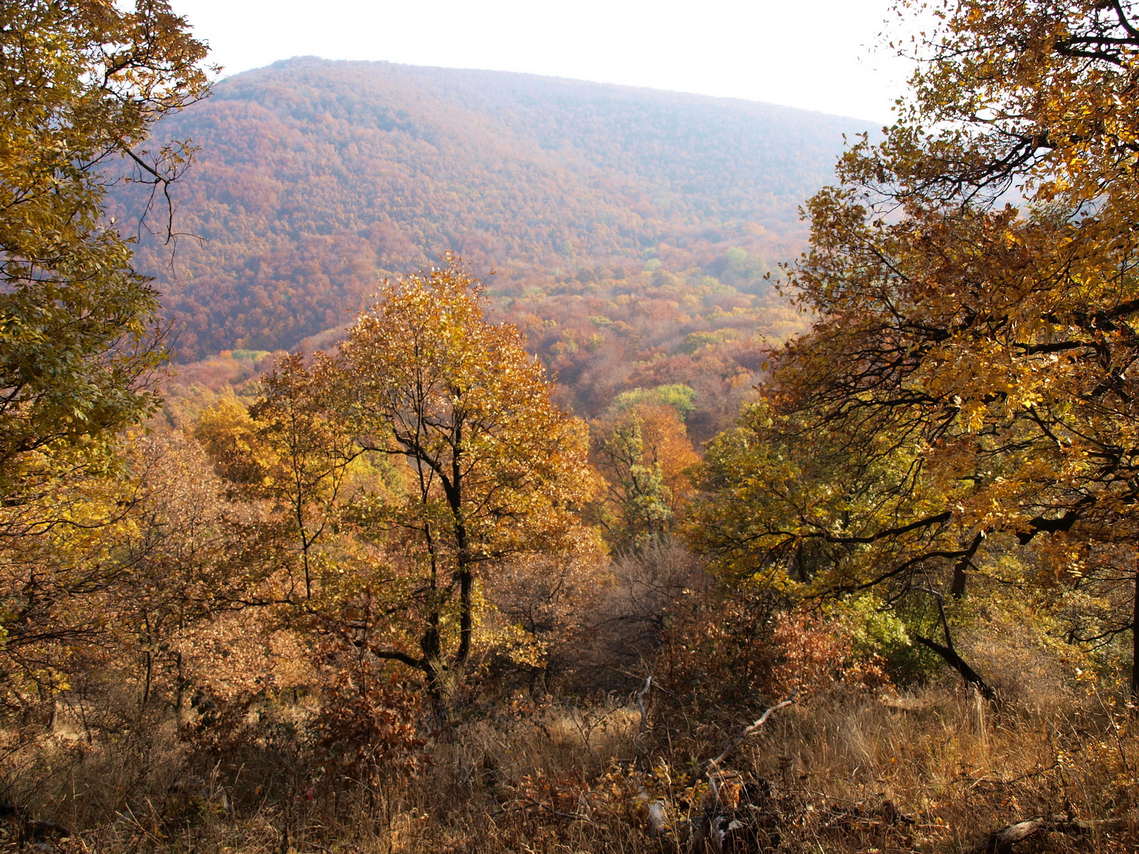 Visegrádi-hegység (1)