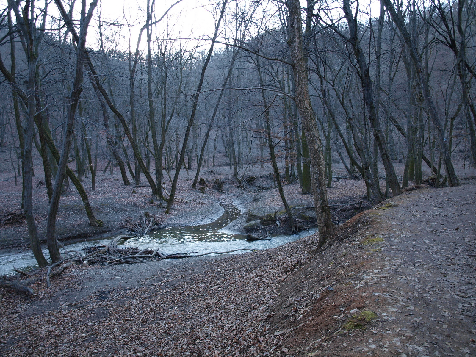 Gaja-szurdok