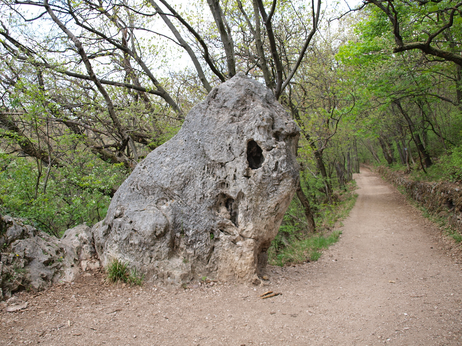 Oroszlán-szikla