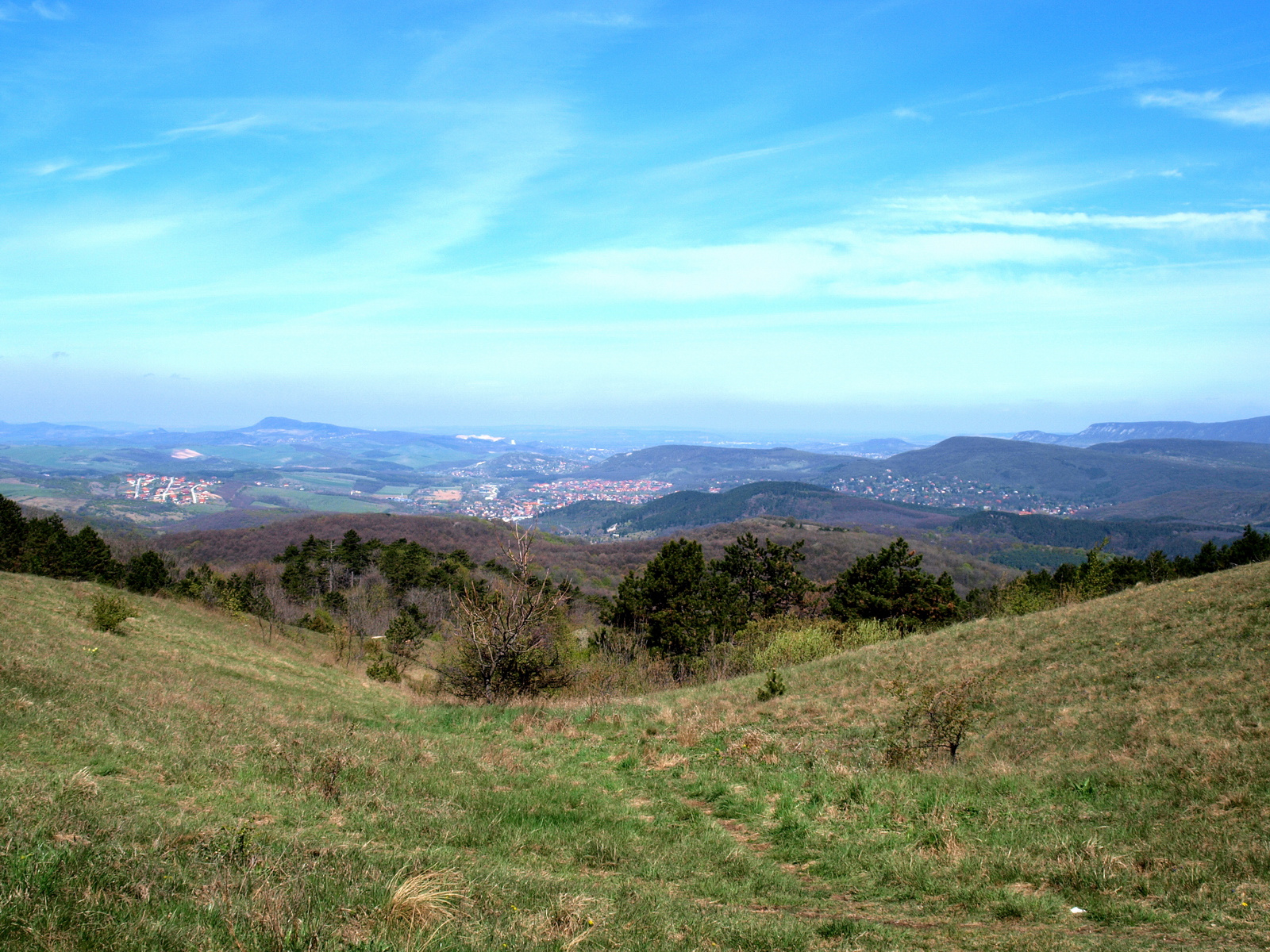 Nagy-Szénás