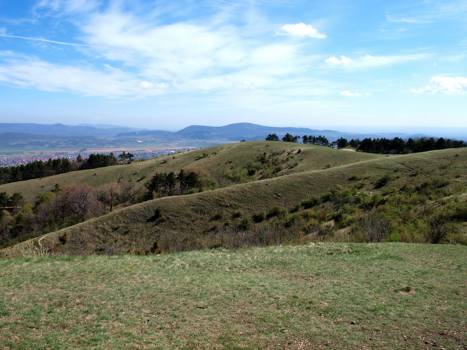 Nagy-Szénás