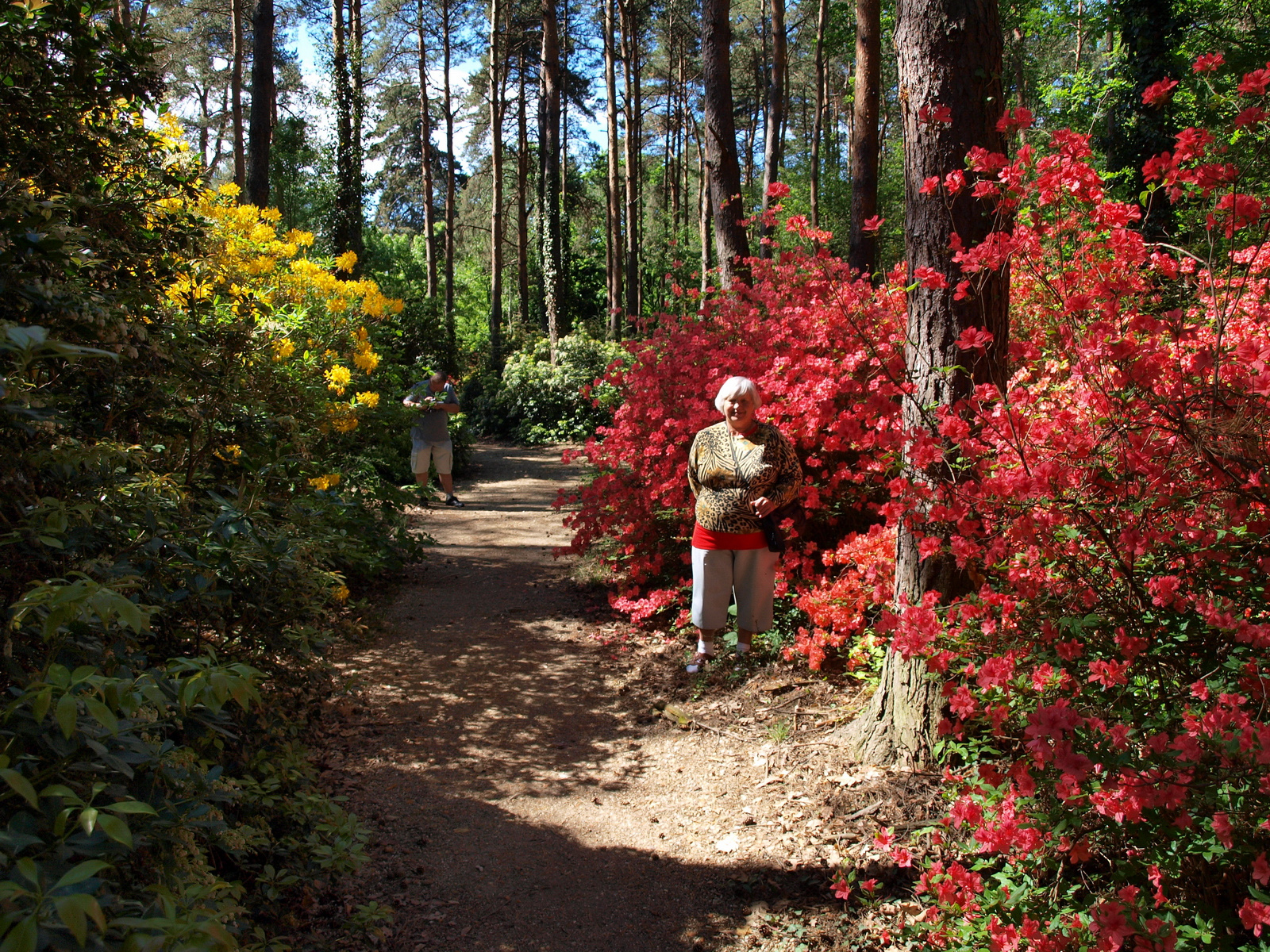 Jeli Arborétum