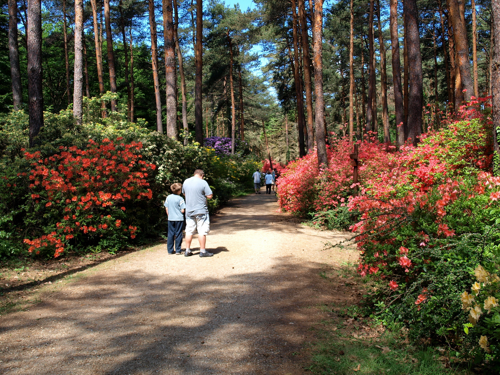 Jeli Arborétum