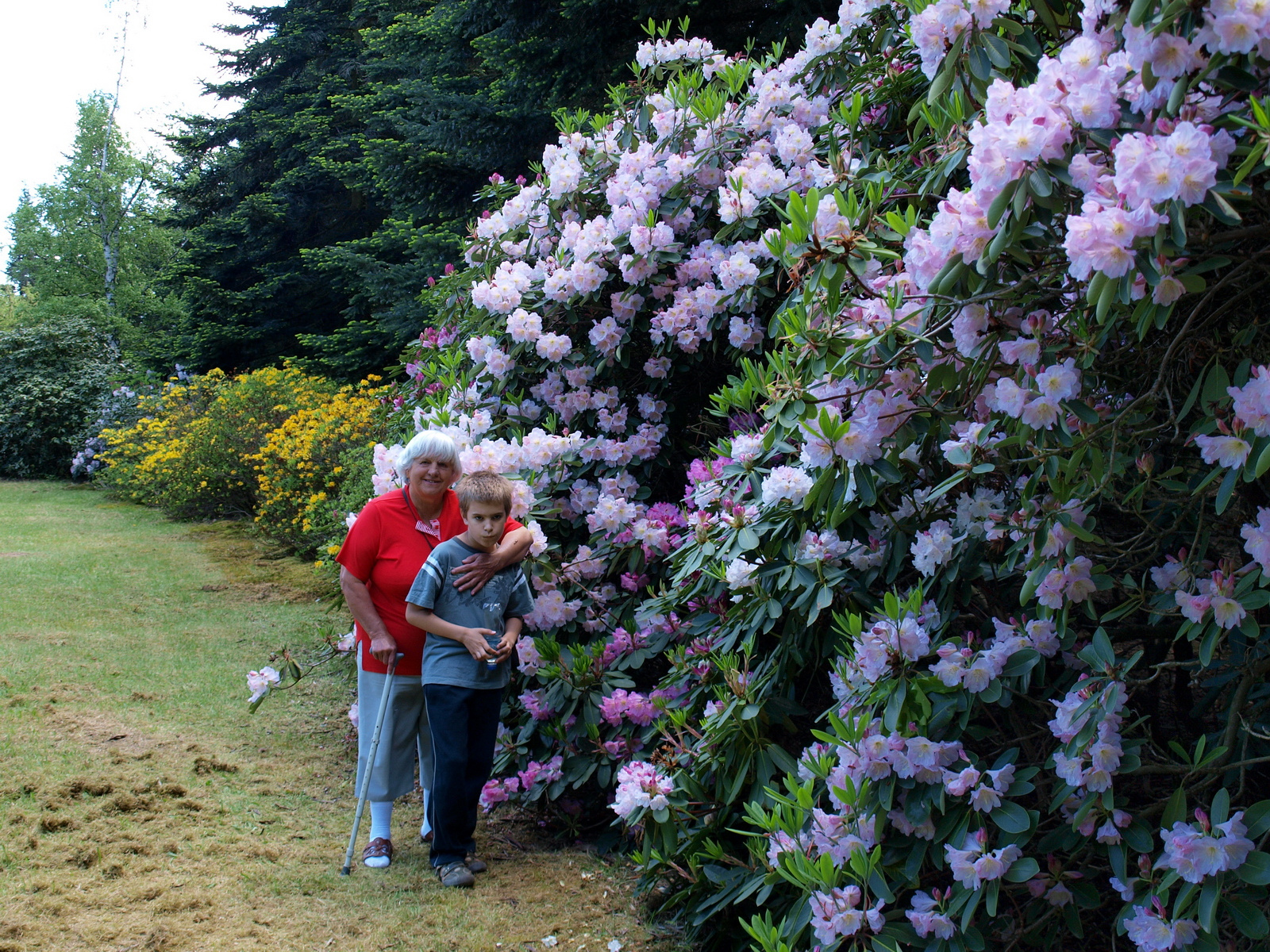 Jeli Arborétum