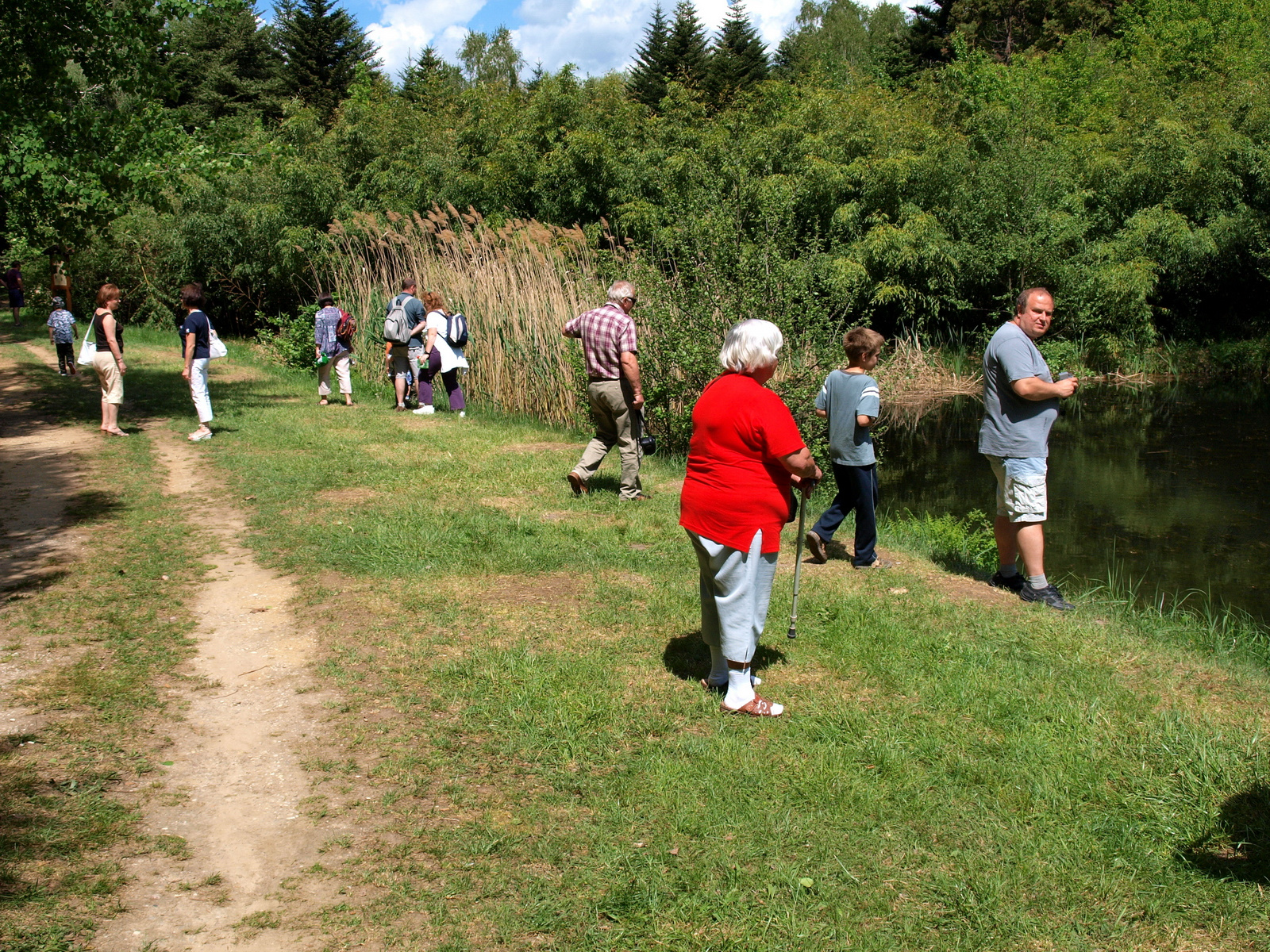 Jeli Arborétum