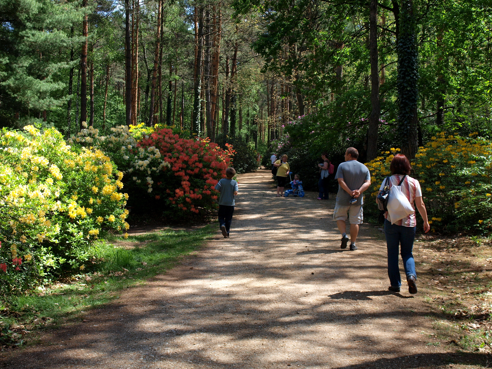 Jeli Arborétum