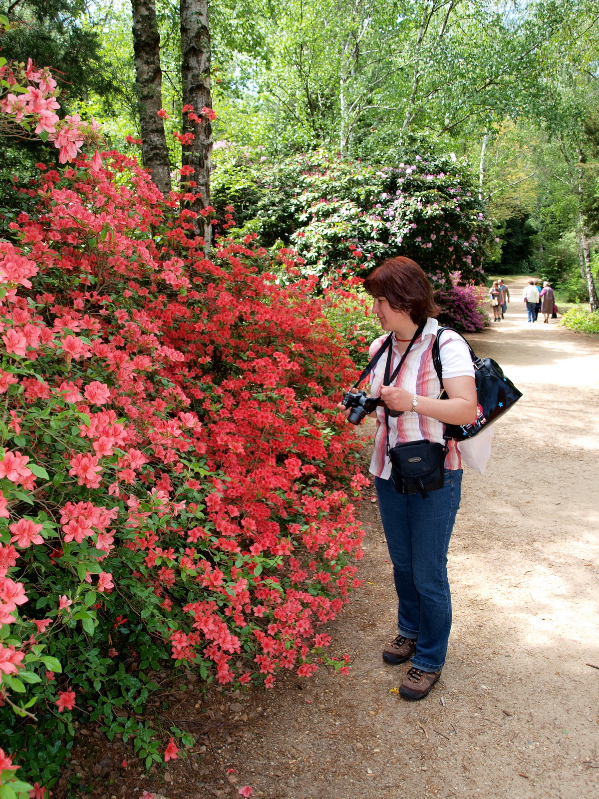 Jeli Arborétum