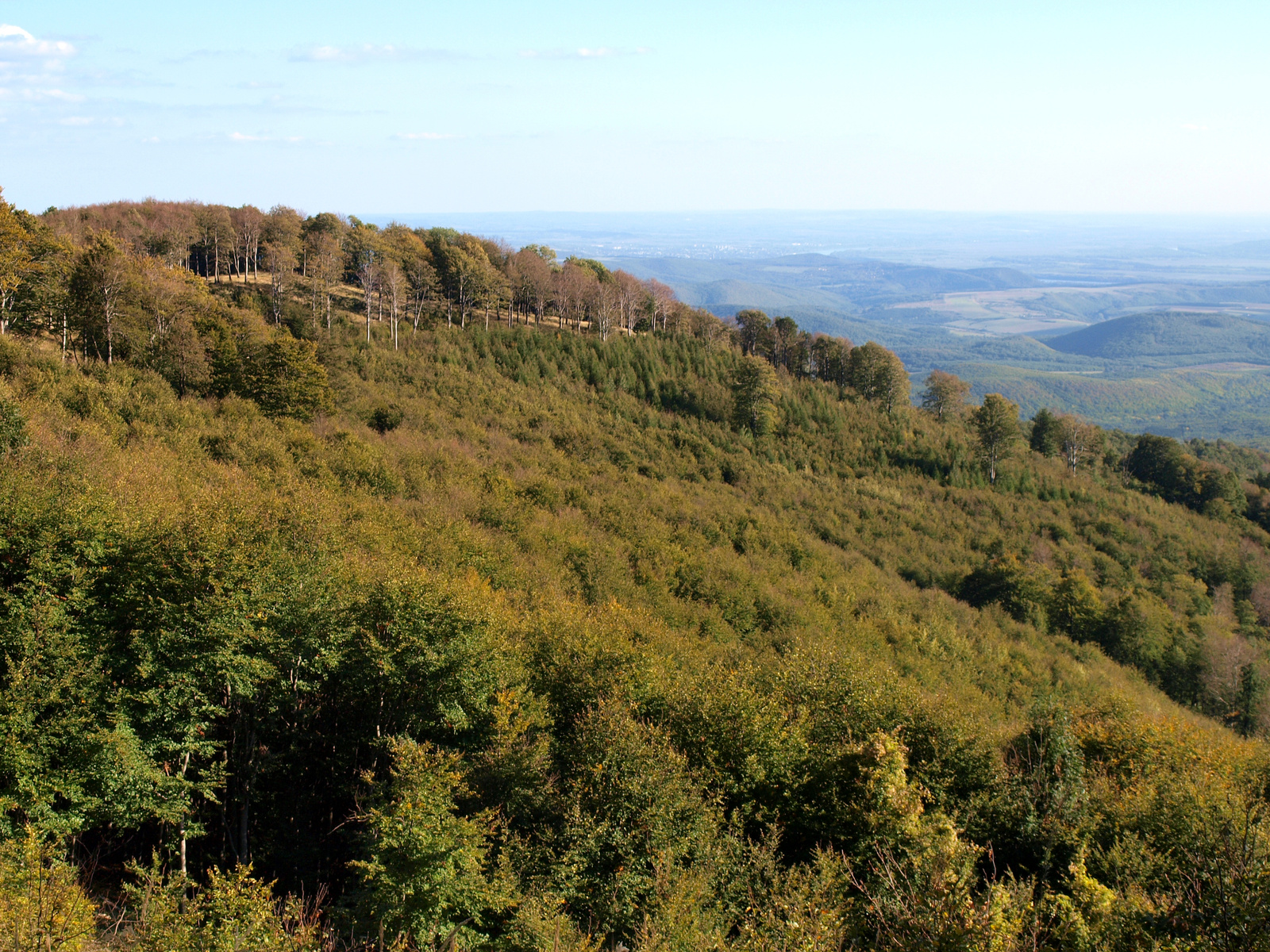 Börzsönyi panoráma