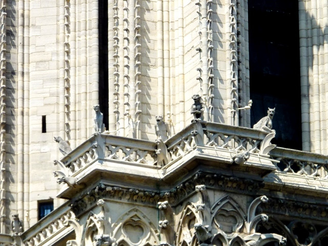 Cathédrale Notre Dame de Paris