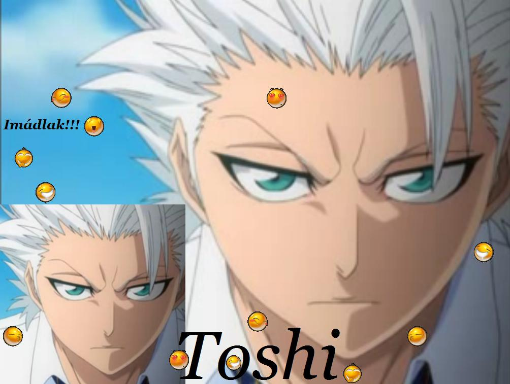 toshiro3