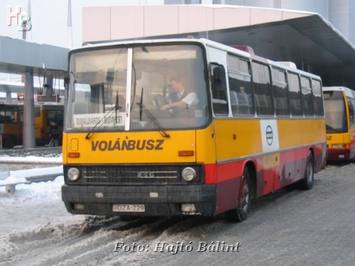 dza229nepltel