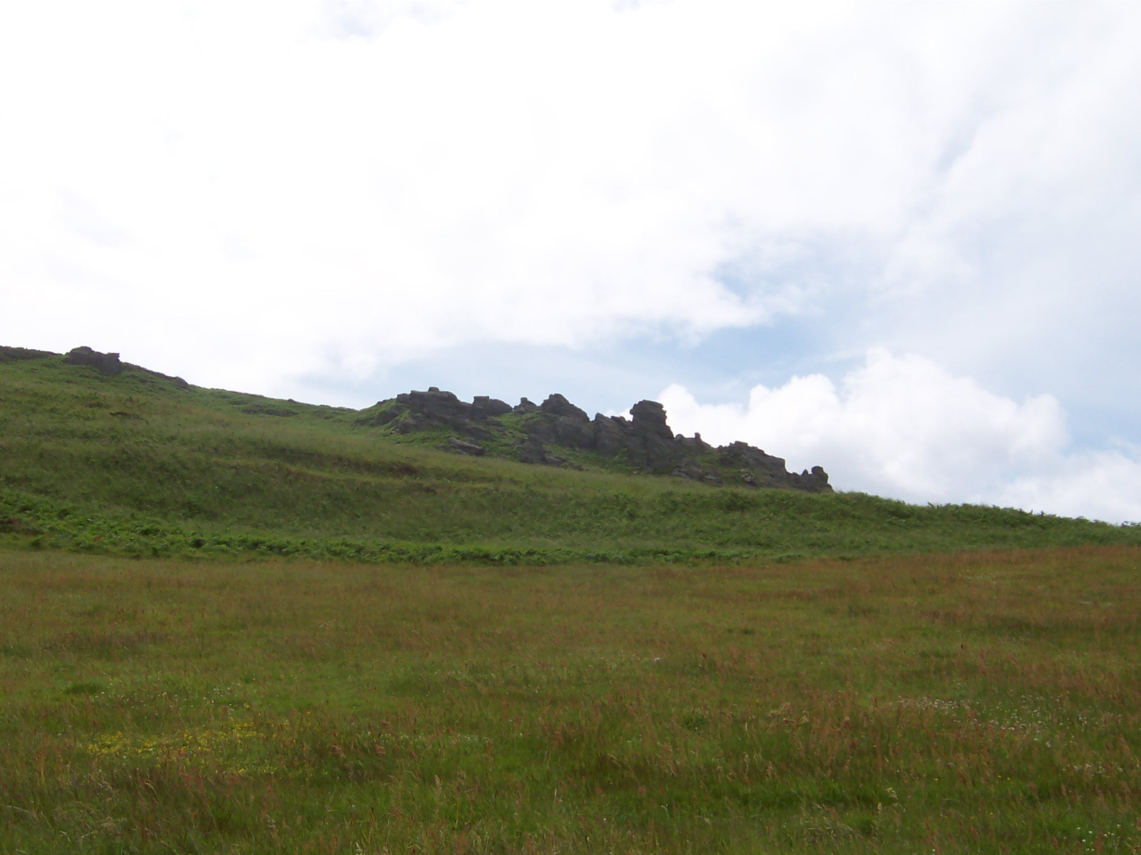 Salcombe Hills1