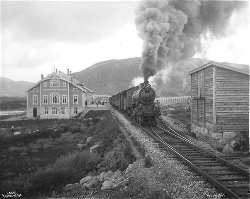 Haugastøl stasjon (Medium)