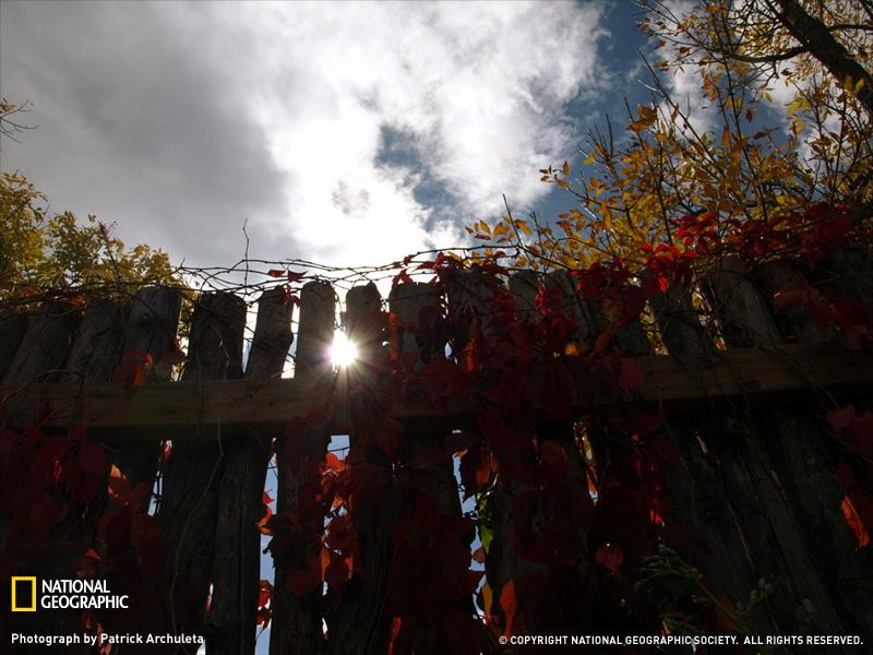 fence-and-clouds-070pc08tad3par009-sw (Medium)