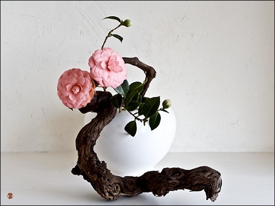 ikebana111c