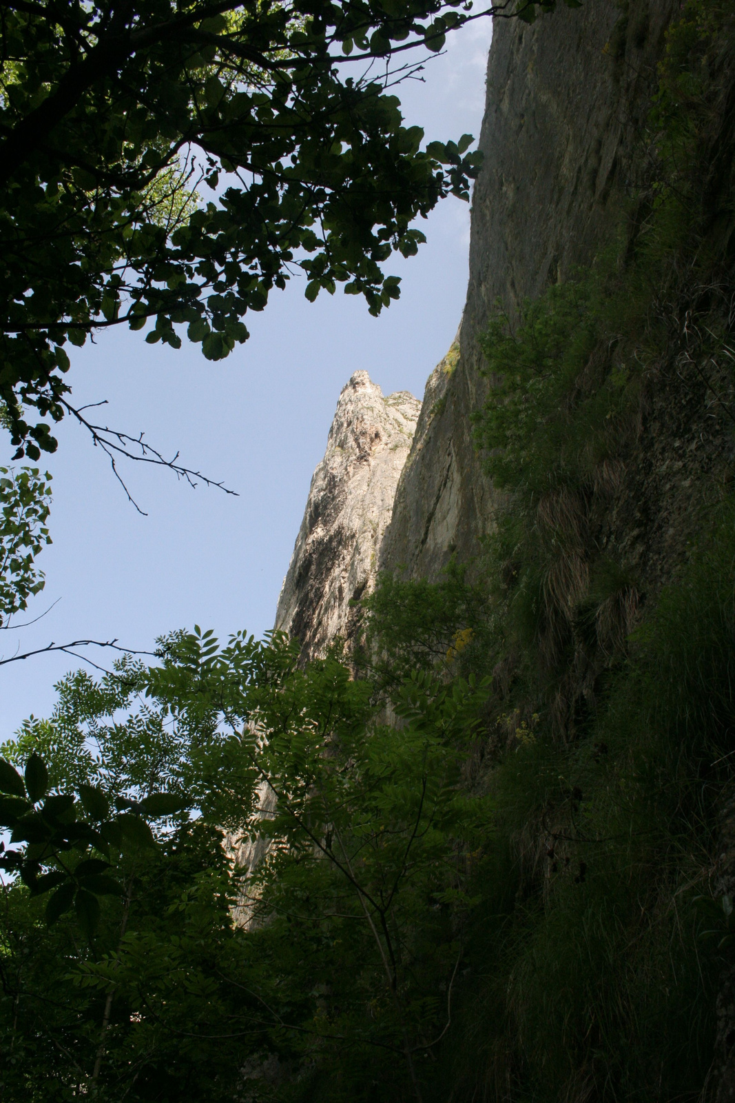 2008-05-18 09-20-30tordai hasadék 63