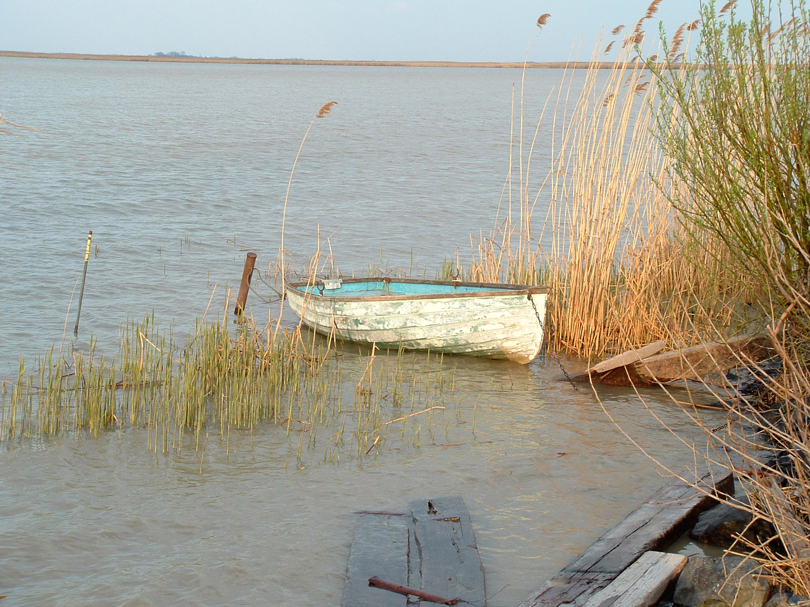 Fertőrákos