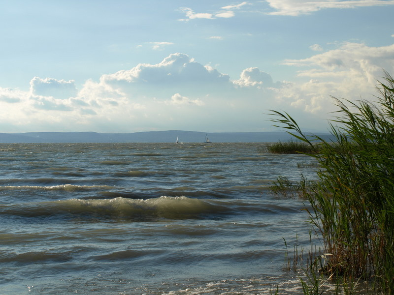 balaton2008+ 344