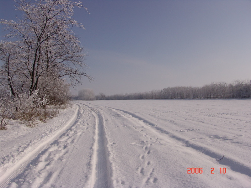 trib.hirdetéls,szakállas,balaton2008 363