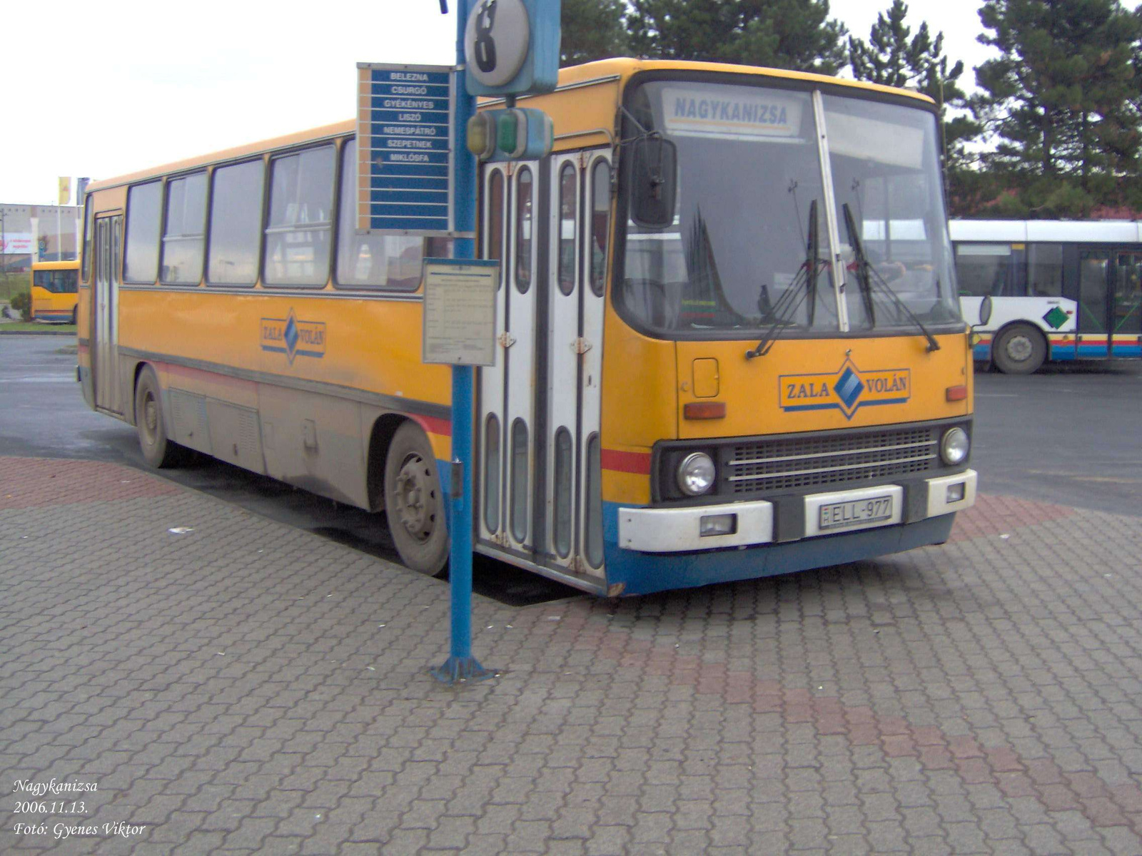 Ikarus 263-ELL-977 1