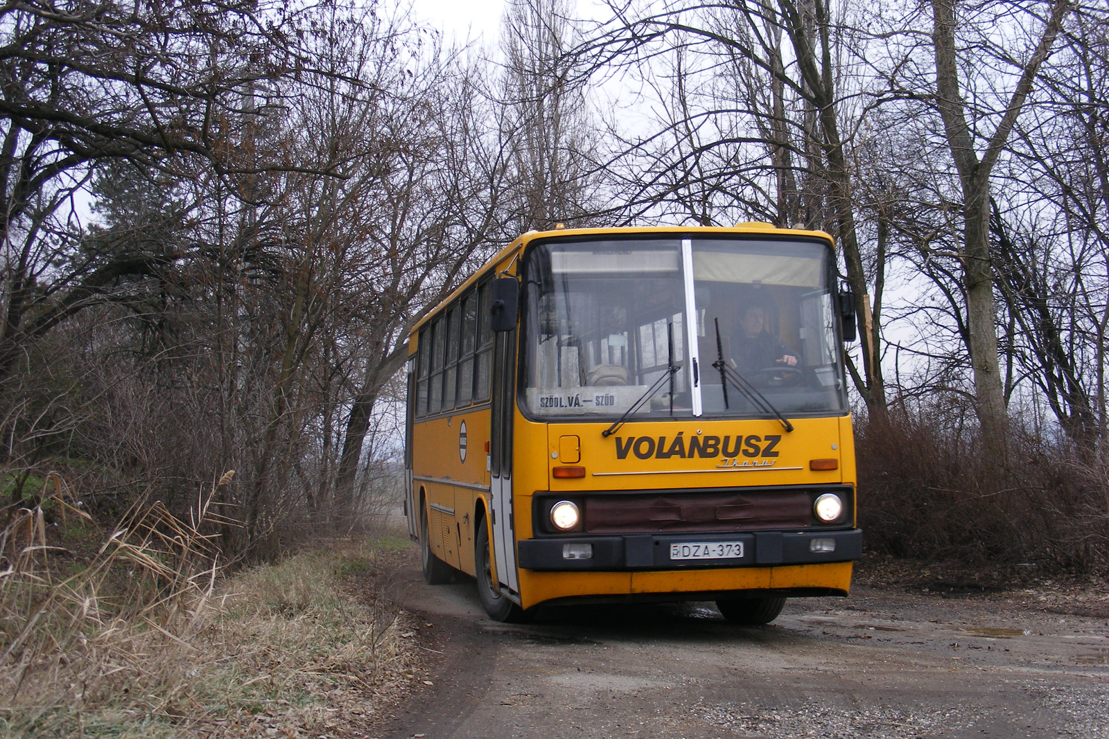 Ikarus 260-DZA-373