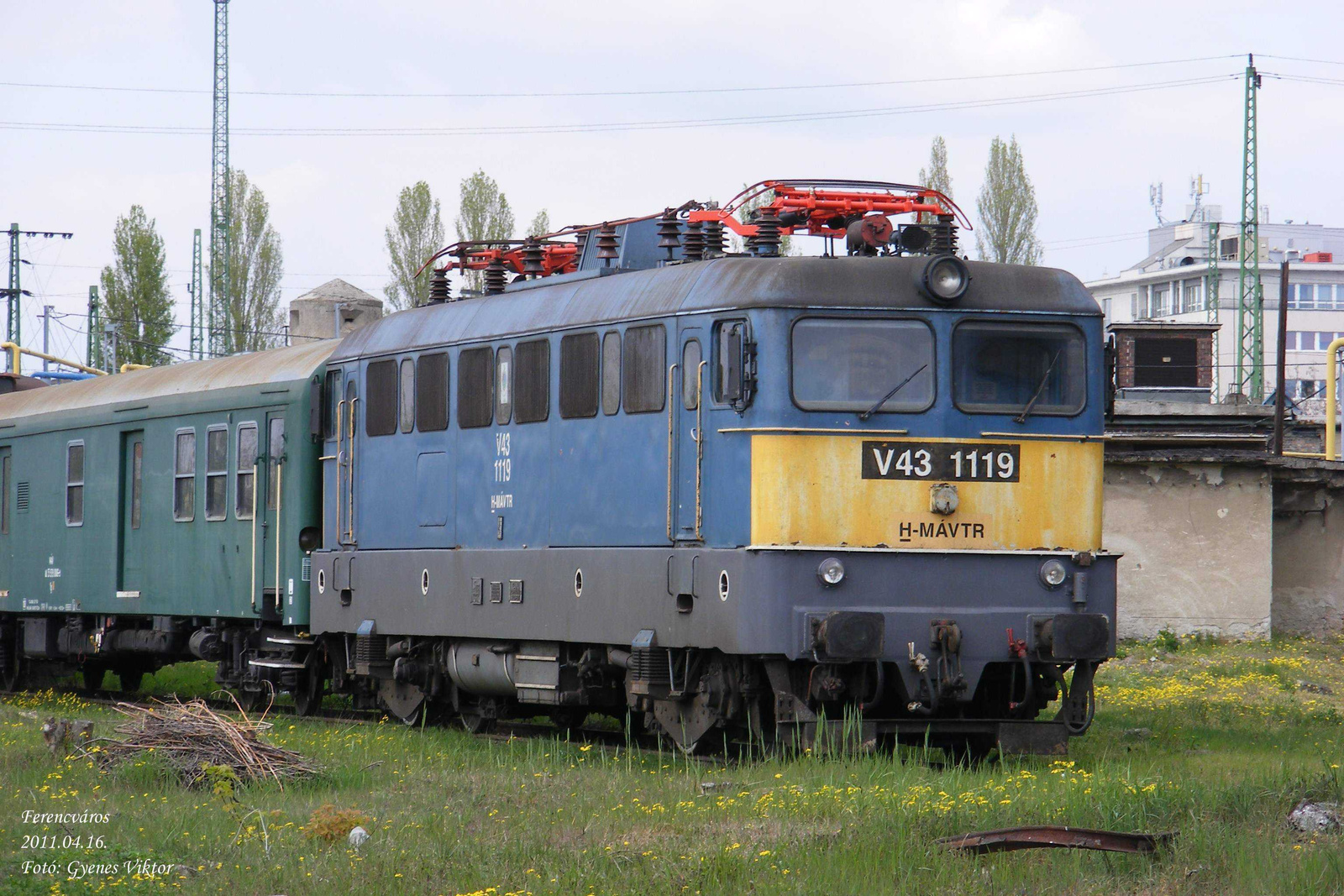 V43-1119