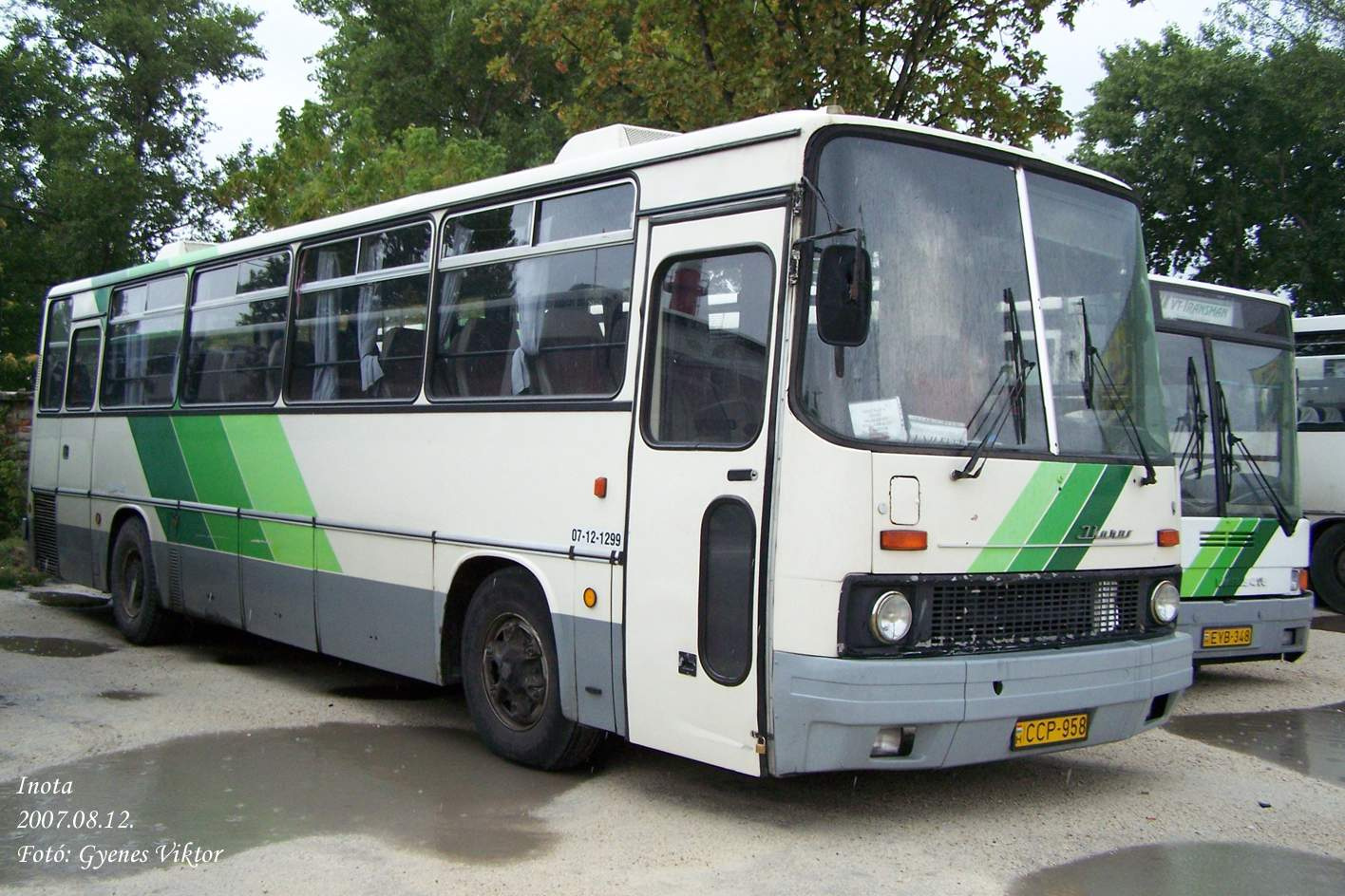 Ikarus 256-CCP-958