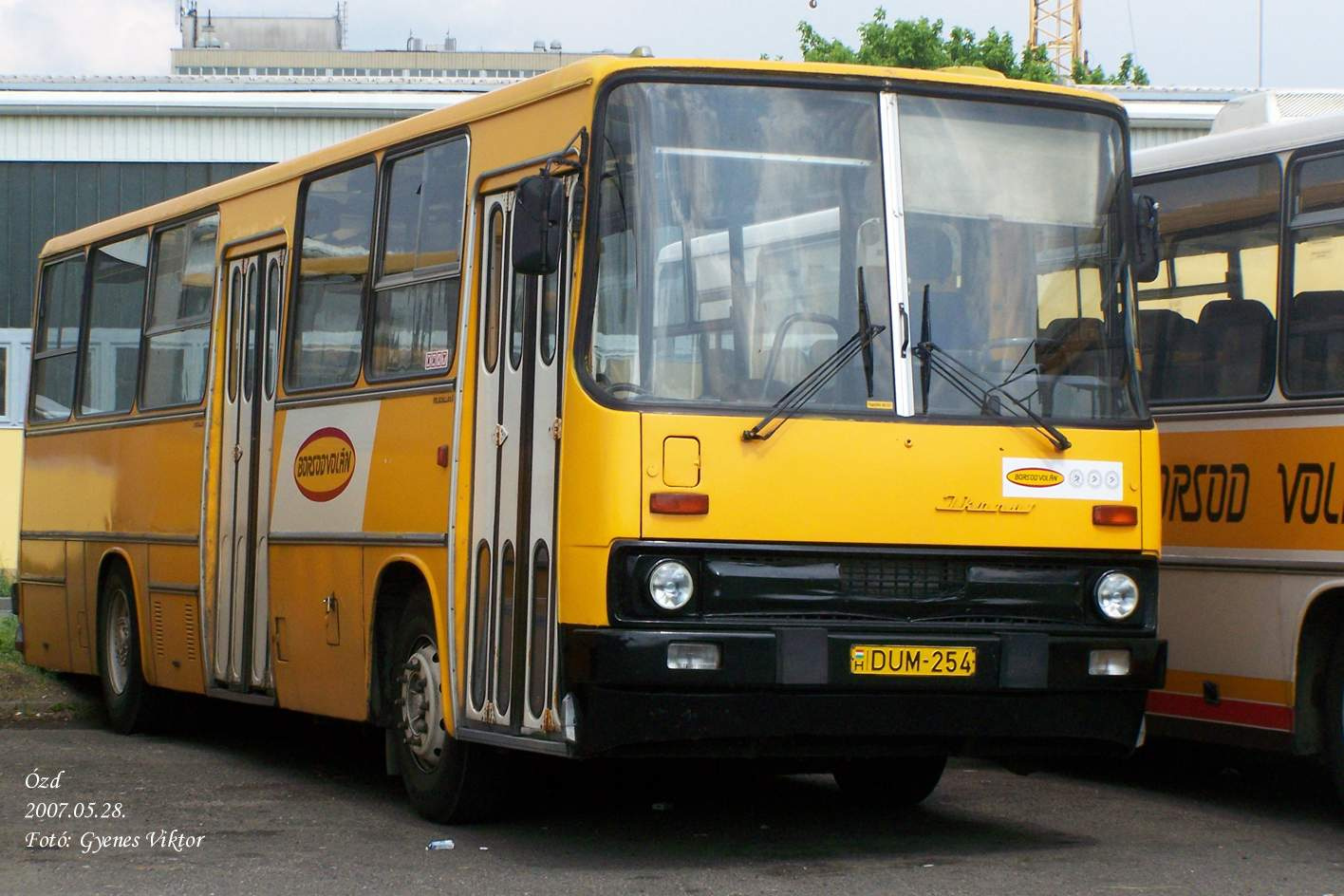 Ikarus 260-DUM-254