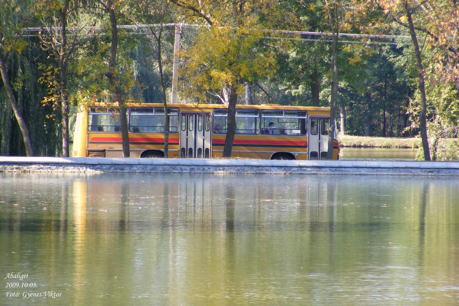 Ikarus 266