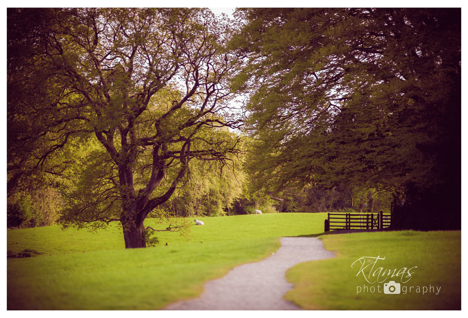 Lancashire, Windermere, UK