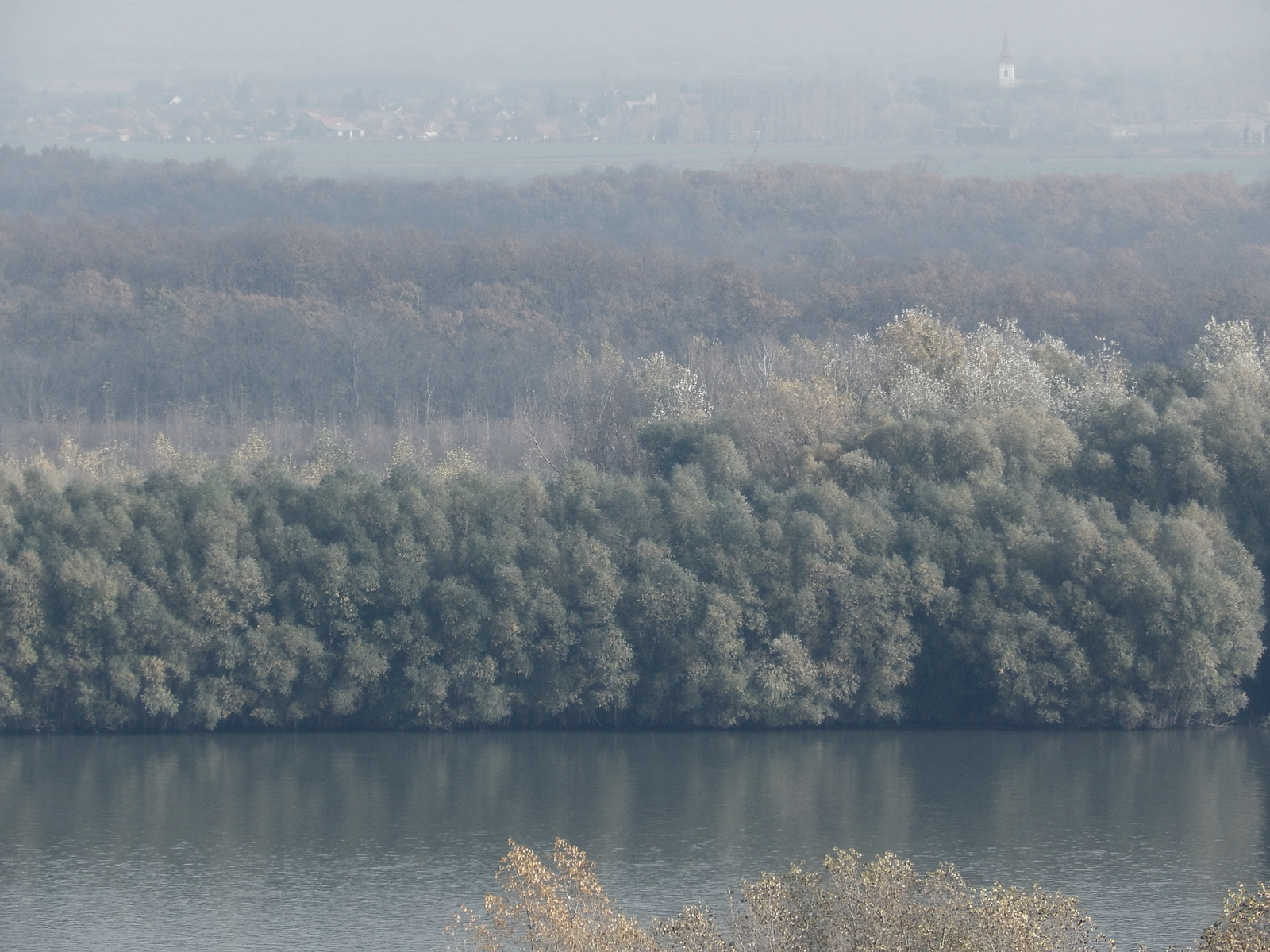 A rónára halvány ködök települnek