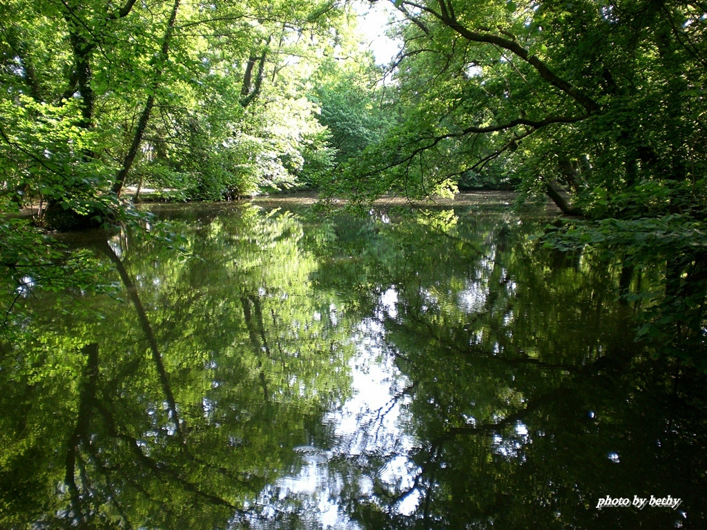 Sárvár-Arborétum tó részlet