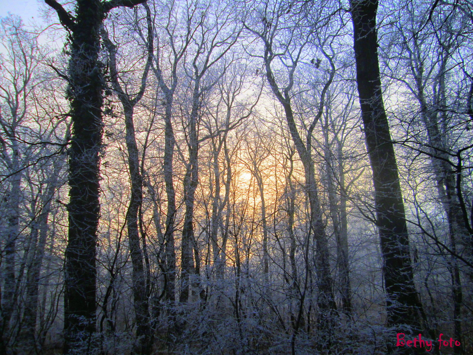 Téli naplemente az erdőben
