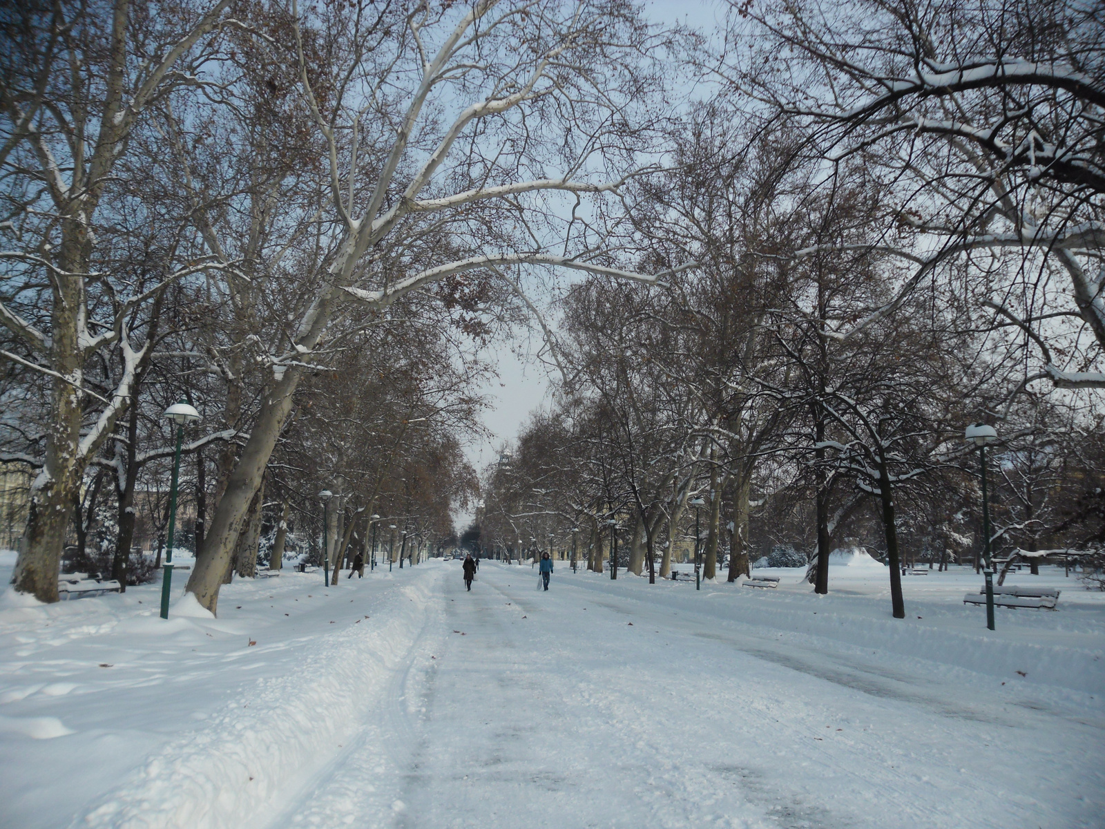 Szeged télen 007