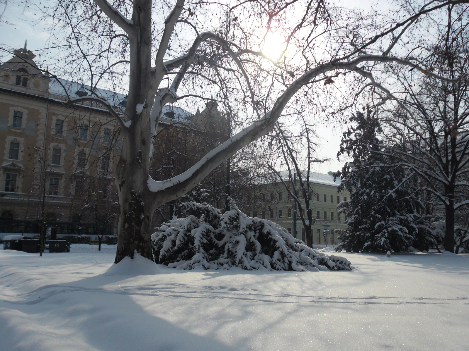 Szeged télen 010