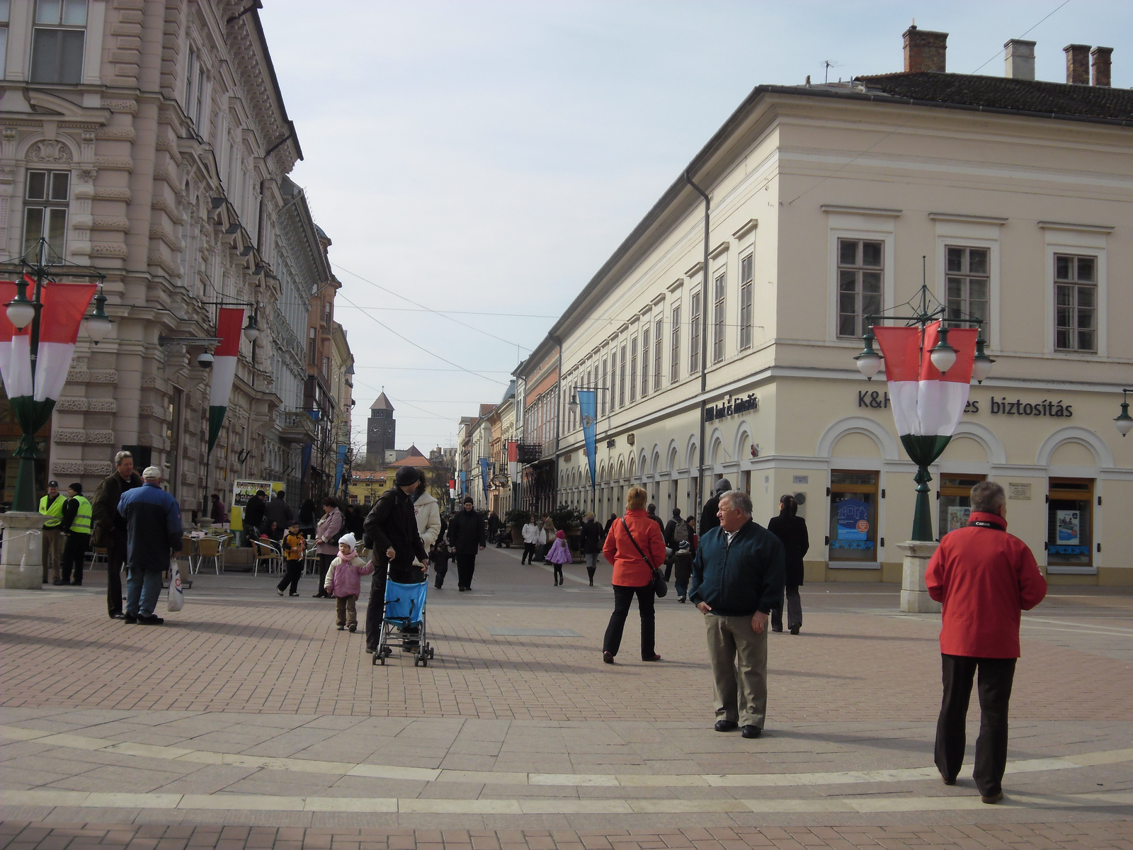 Szeged tulipán fa 002