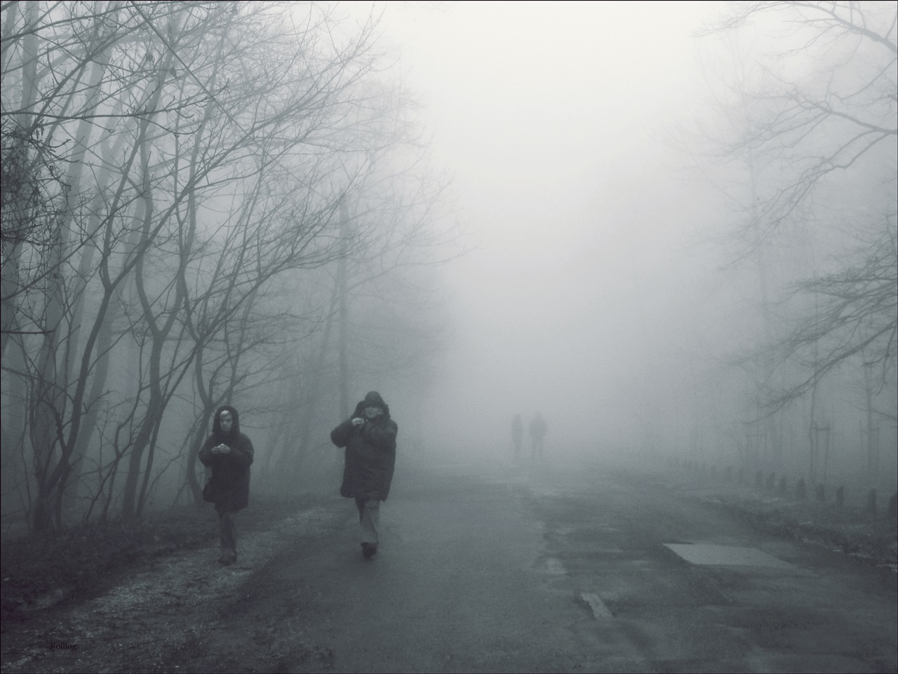 A köd fogságában
