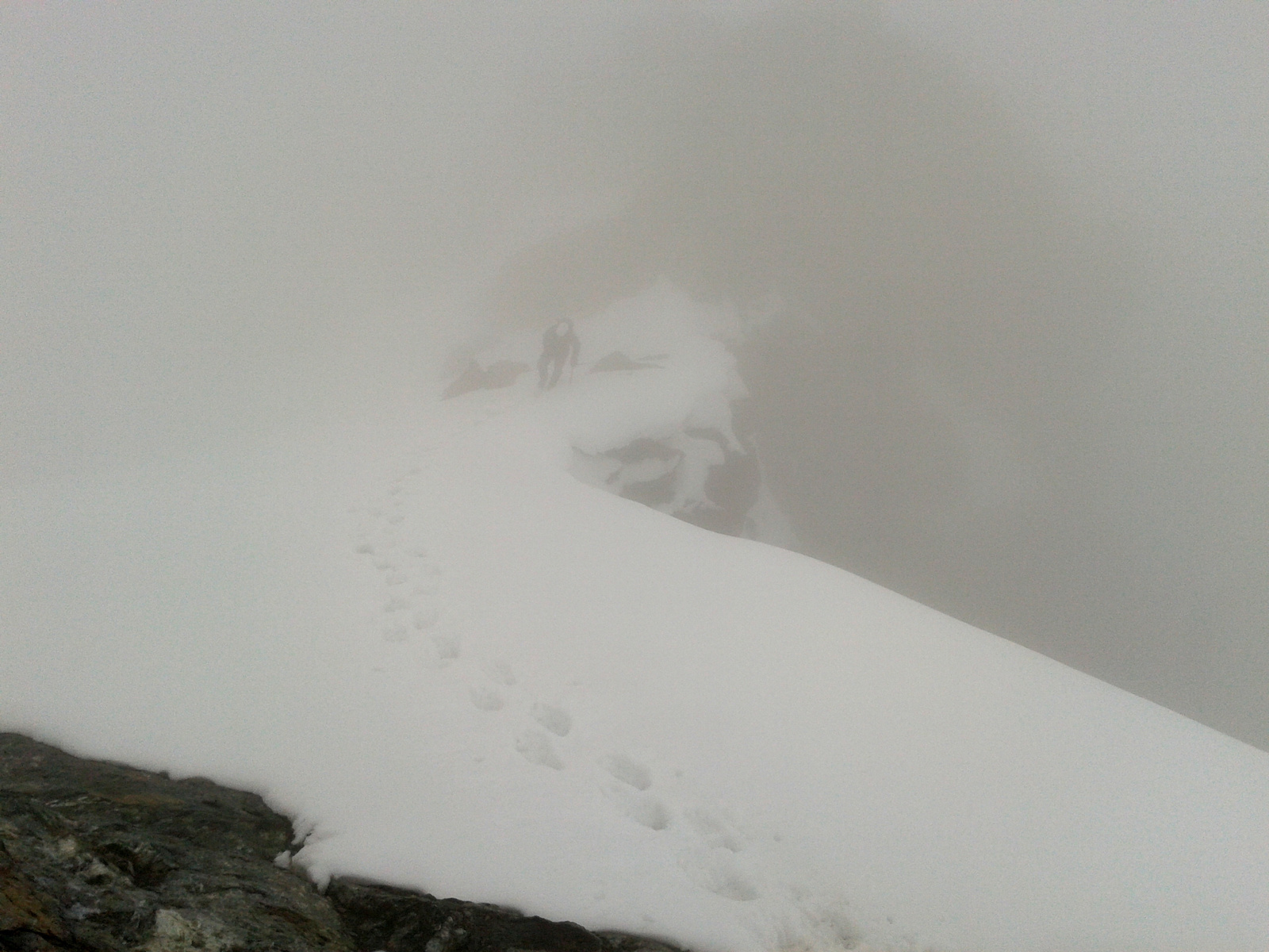 Monte Disgrazia-2014-08-08 10.54.27