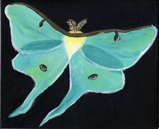 Lunar moth