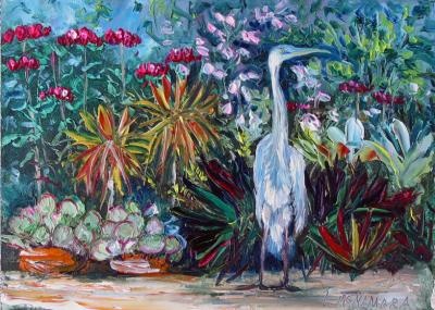 Baby blue heron in the garden (Lori McNamara)