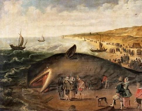 The whale beached between Scheveningen and Katwijk, January 1617