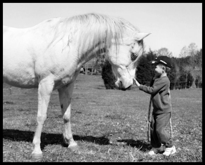 Horse Whisperer In Training 3 by MakersMischief