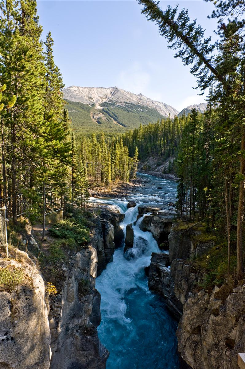 Sunwapta Falls, Jasper National Park