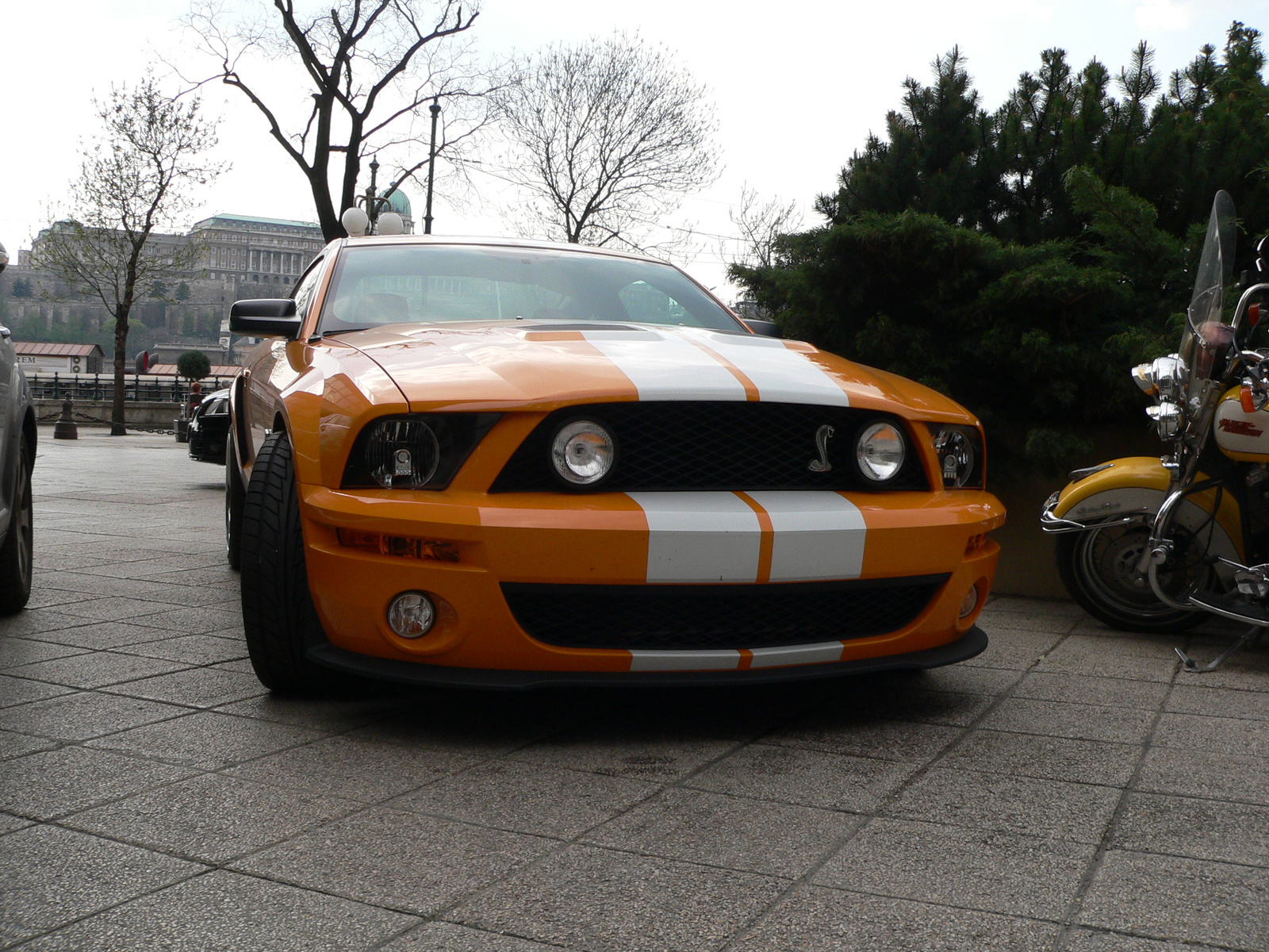 Shelby GT500